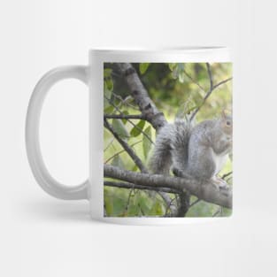 Eastern Gray Squirrel, Wildlife Photography, Wild Animals Mug